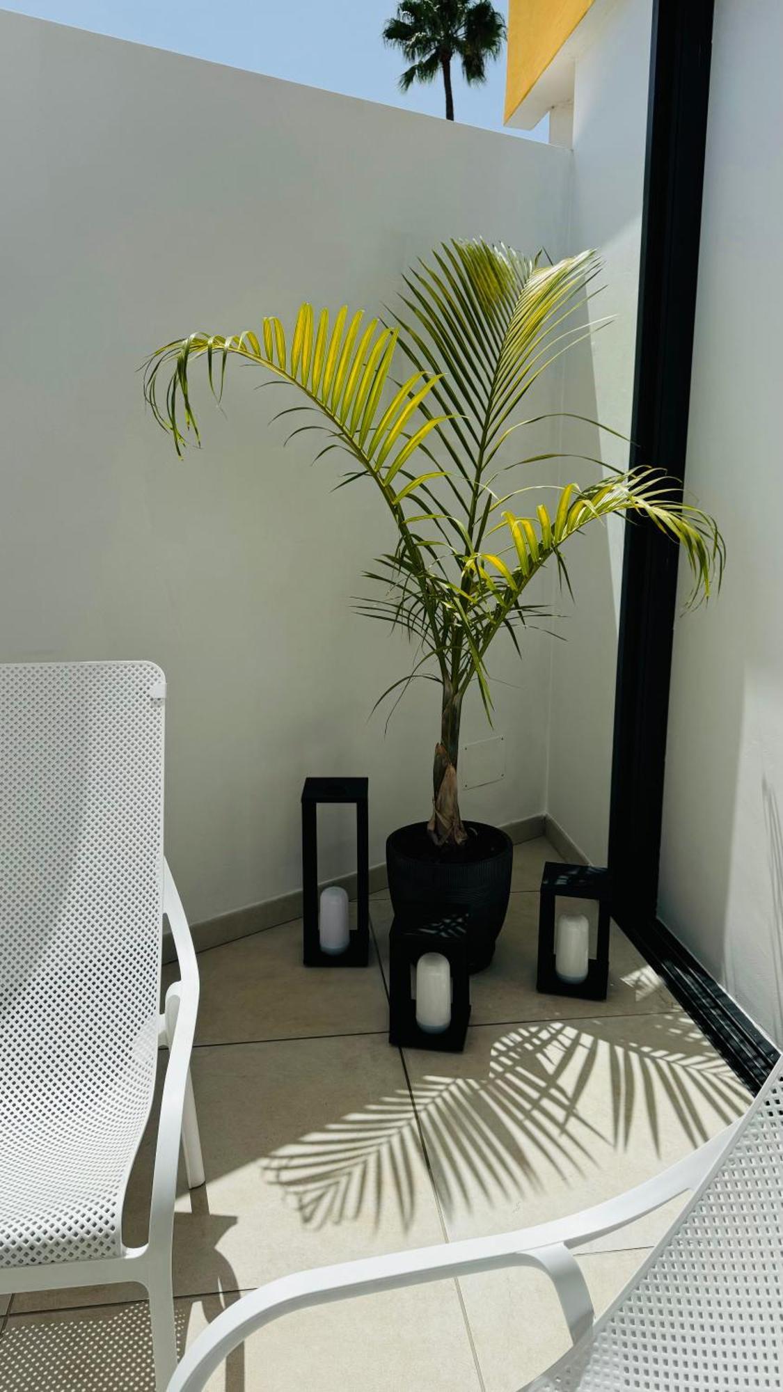 Bungalow Siena Center Playa Del Ingles Maspalomas  Exterior foto